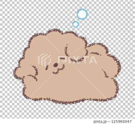 ごろ寝するトイプードル 125968847