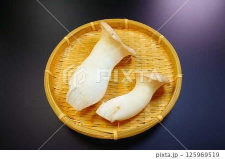 エリンギ キノコ きのこ エリンギ キノコ きのこ 125969519