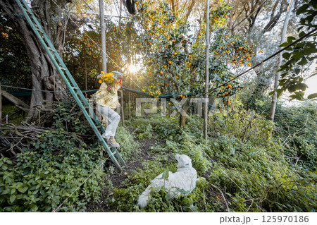 Among Citrus and Sunlight 125970186