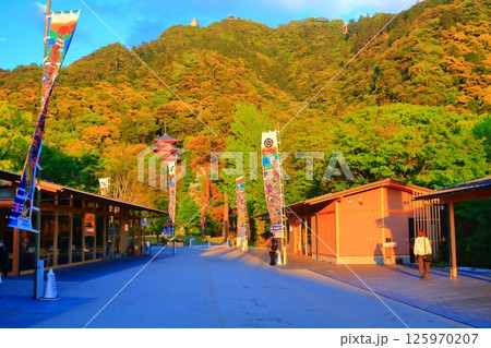 岐阜市・岐阜公園の岐阜城楽市風景（夕方） 125970207