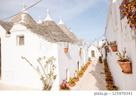 Trulli alley with flower pots in Alberobello Trulli alley with flower pots in Alberobello 125970341