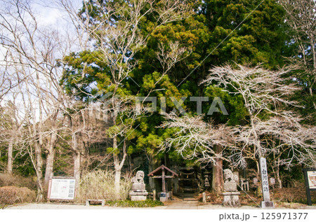 白河神社の鳥居と狛犬(遠景) 125971377