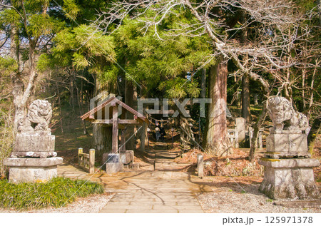白河神社の鳥居と狛犬 白河神社の鳥居と狛犬 125971378