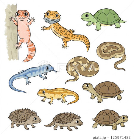 かわいい爬虫類・両生類キャラクターセット　教材・SNS・商用OK 125971482