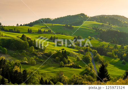 Mountain landscape in the Pieniny National Park at the foot of the Tatra Mountains 125971524