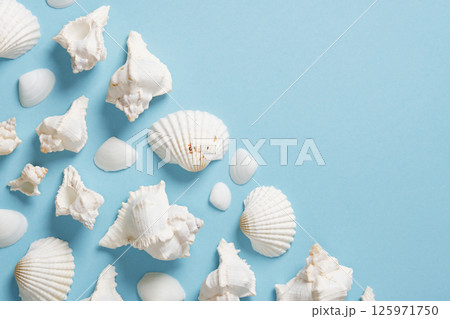 Card with white seashells on a light blue background. Space for your text. Card with white seashells on a light blue background. Space for your text. 125971750