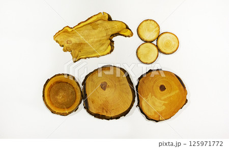 Cross-sections of tree trunks on a white background showing annual rings Cross-sections of tree trunks on a white background showing annual rings 125971772