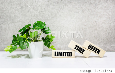 The text of the offer with a limited validity period on wooden blocks The text of the offer with a limited validity period on wooden blocks 125971773