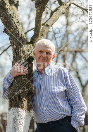 A pensioner in a striped shirt is hugging a tree trunk. An old man in a striped shirt leans against a tree. A pensioner in a striped shirt is hugging a tree trunk. An old man in a striped shirt leans against a tree. 125971925