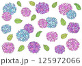手書き風のアジサイ模様 125972066