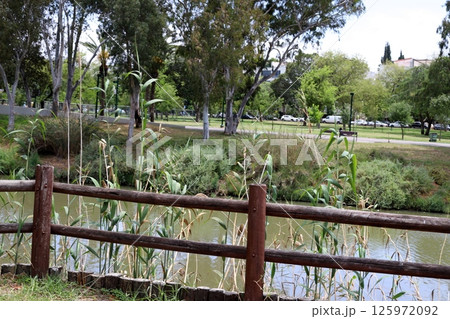 The Yarkon River flows through the center of Tel Aviv. 125972092