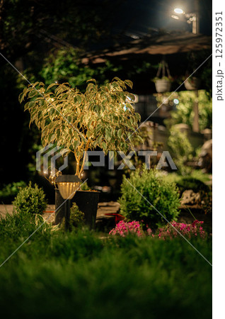 Small Solar Garden Light, Lanterns In Flower Bed. Garden Design. Solar Powered Lamp 125972351