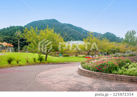 佐野植物公園 125972354