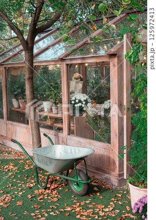 Garden greenhouse with wheelbarrow beside colorful plants in autumn setting Garden greenhouse with wheelbarrow beside colorful plants in autumn setting 125972413
