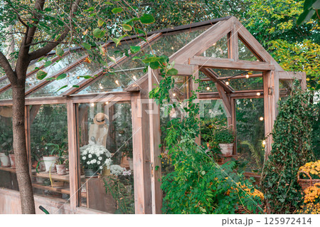 Beautiful wooden greenhouse filled with plants and flowers in lush garden setting Beautiful wooden greenhouse filled with plants and flowers in lush garden setting 125972414