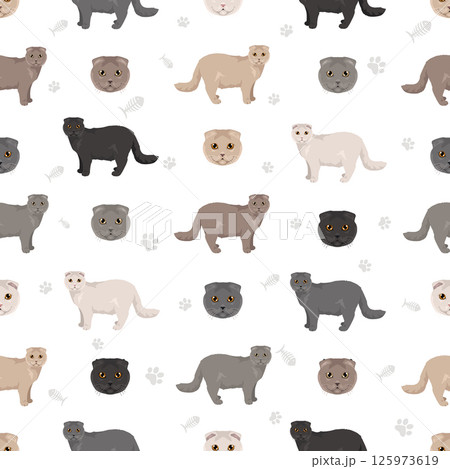 Scottish Fold Cat clipart. All coat colors set.  All cat breeds characteristics infographic 125973619