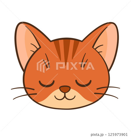 Calm orange tabby cat face. Hand drawn Flat style Chibi cat 125973901