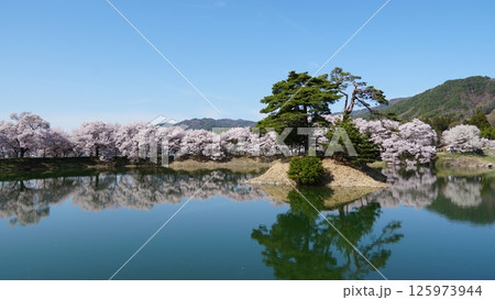 六道の堤池に映る桜 六道の堤池に映る桜 125973944