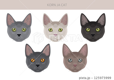 Korn Ja Cat clipart. All coat colors set.  All cat breeds characteristics infographic 125973999