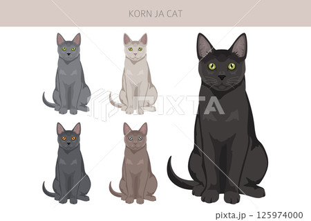Korn Ja Cat clipart. All coat colors set.  All cat breeds characteristics infographic 125974000