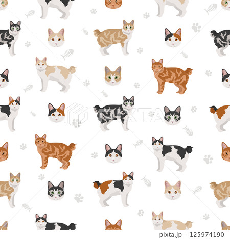 Kurilian Bobtail Cat seamless pattern. All coat colors set 125974190