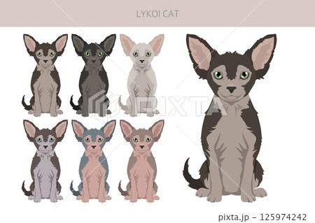 Lykoi Cat clipart. All coat colors set.  All cat breeds characteristics infographic 125974242