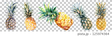 Set of fresh tropical fruit, Pineapple in watercolor style isolated on a transparent background. 125974364
