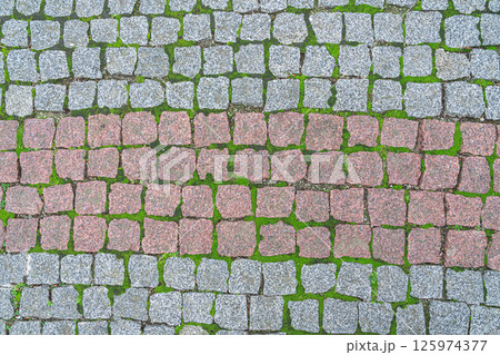 Patterns of Cobblestones With Patches of Moss in a Urban Walkway 125974377