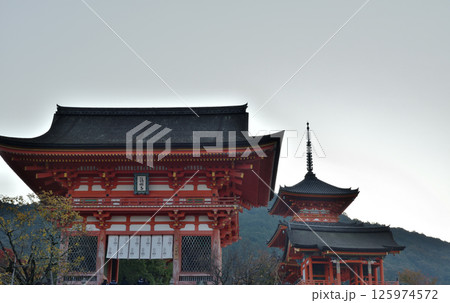 朝の清水寺　仁王門と西門と三重塔【重要文化財】 125974572