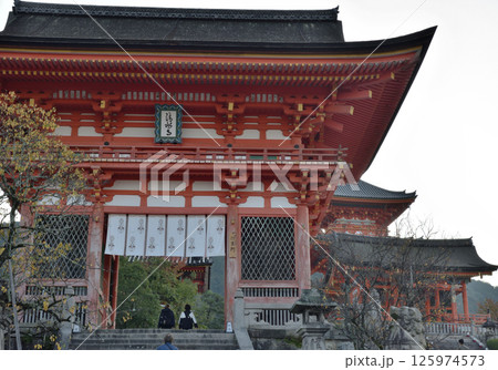 朝の清水寺　仁王門と西門と三重塔【重要文化財】 125974573