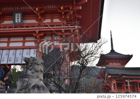 朝の清水寺 仁王門と西門と三重塔【重要文化財】 朝の清水寺 仁王門と西門と三重塔【重要文化財】 125974574