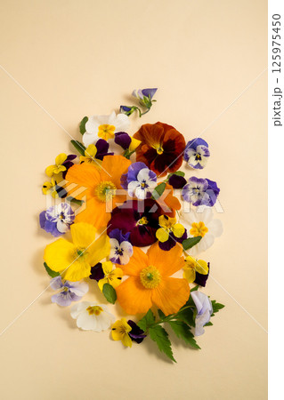 Set of spring garden flowers, purple, yellow, orange flower composition Set of spring garden flowers, purple, yellow, orange flower composition 125975450