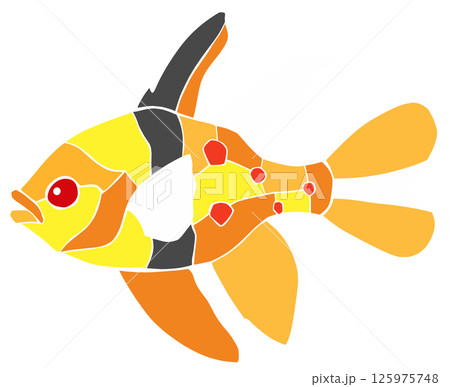 観賞魚マンジュウイシモチの素敵なステンドグラス画風切り絵イラスト 125975748