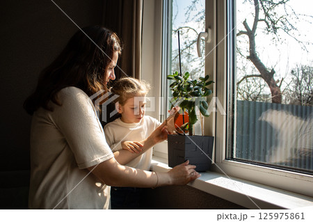 Interaction between mother and her little daughter as watering potted plants by the window. Emphasizes bonding, responsibility, and nature appreciation. Interaction between mother and her little daughter as watering potted plants by the window. Emphasizes bonding, responsibility, and nature appreciation. 125975861