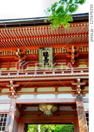 宇宙エネルギーが降注ぎ京の都の鬼門を護る… 鞍馬寺『仁王門』 125976350