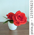 室内のミニバラ 125976823