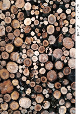 Natural wood logs arranged in a unique pattern showcasing tree rings in detail. 125976976