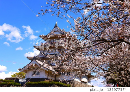 千葉城と桜の春の風景（猪鼻公園） 125977574