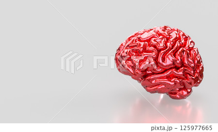 The Red Brain on white background for sci or medical concept 3d Rendering. 125977665