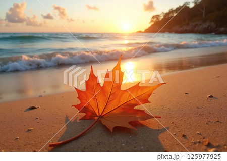 Orange leaf on sandy beach at sunset. Orange leaf on sandy beach at sunset. 125977925