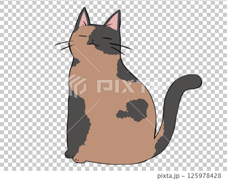 サビ ねこ 座る 125978428