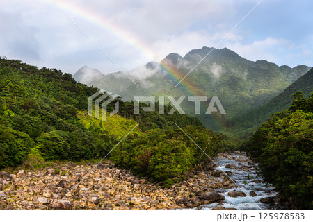 屋久島洋上アルプス　きれいな虹(7月) 125978583
