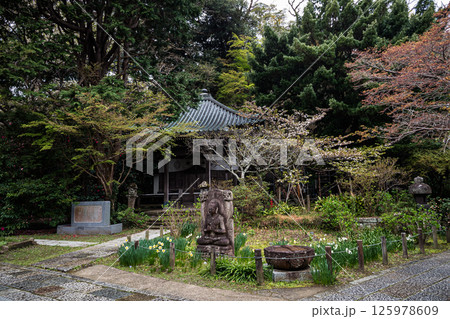 神奈川県鎌倉安国論寺御小庵 神奈川県鎌倉安国論寺御小庵 125978609