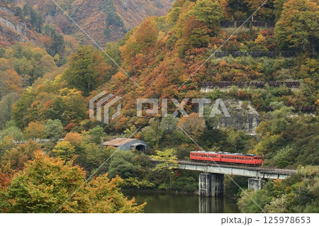 紅葉の只見線 125978653