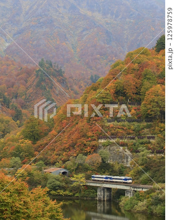 紅葉の只見線 125978759