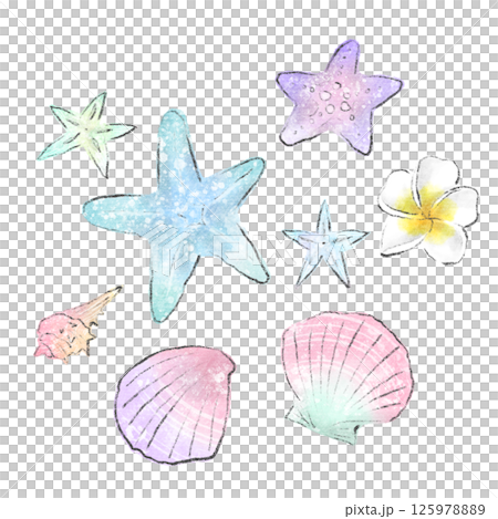 カラフルな貝殻とヒトデとプルメリアの夏イメージ水彩イラストセット 125978889