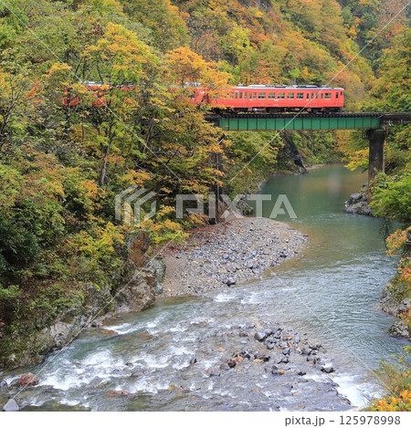 紅葉の只見線 125978998