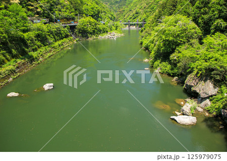 緑に囲まれたダム湖 緑に囲まれたダム湖 125979075
