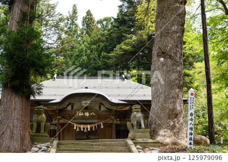 モミと杉が構える　岩崎八幡神社　秋田県湯沢市 125979096