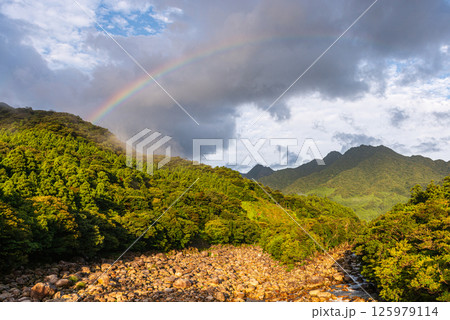 屋久島洋上アルプス　きれいな虹(9月) 125979114